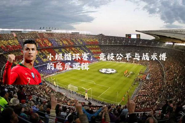 小组循环赛:竞技公平与战术博弈的底层逻辑